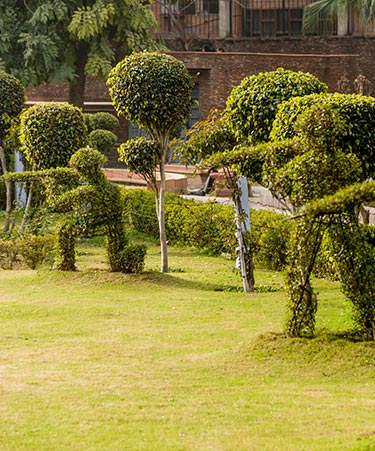 Amritsar-03