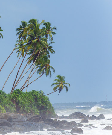 Balapitiya-best-of-sri
