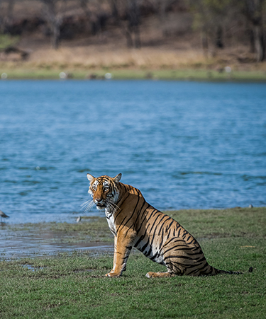 Bandhavgarh-02