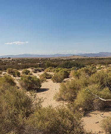 Barstow