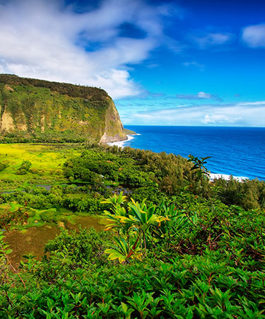 Big-Island-02
