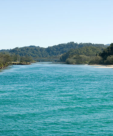 Brunswick-head