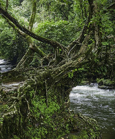 Cherrapunji-01