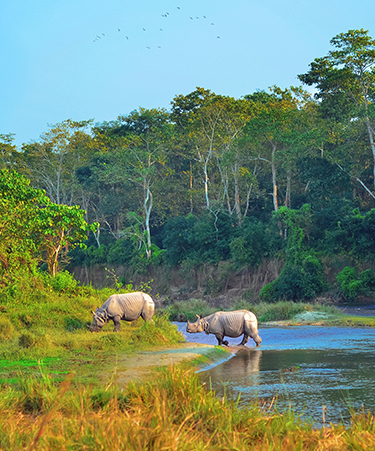 Chitwan-National-Park-01