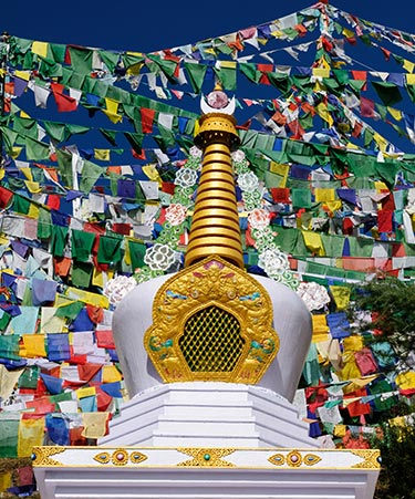 Dharmshala-02