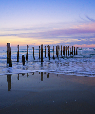 dunedin-02