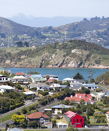 dunedin-03