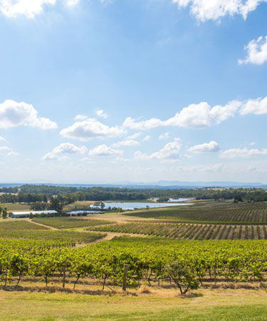 Hunter-Valley