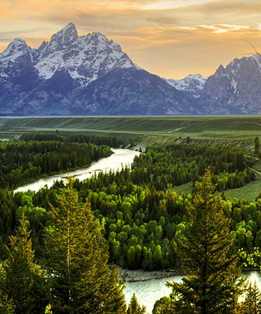 Jackson-Hole