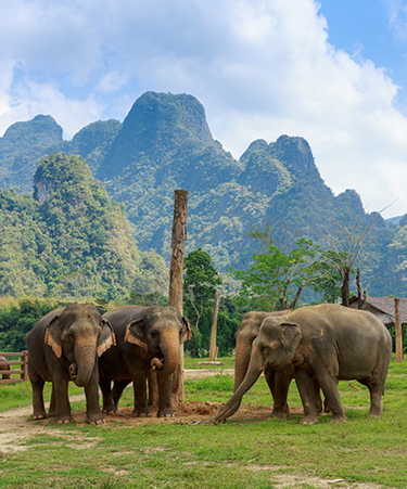 Khao-Sok-02