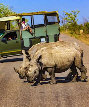 kruger-national-park-south-africa-02