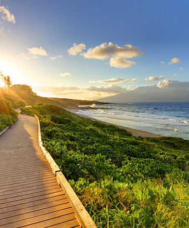 Maui