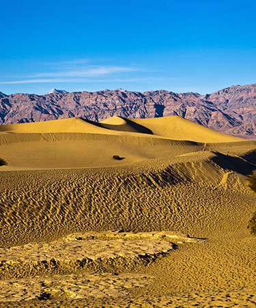Mojave-Desert