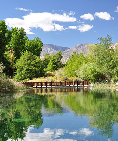 Palm-Springs-01