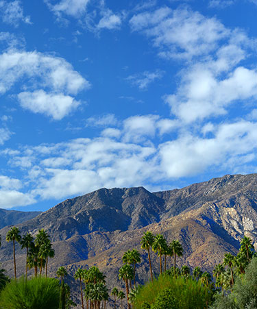 Palm-Springs-02