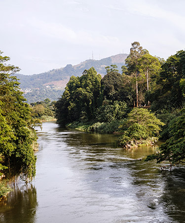 Peradeniya