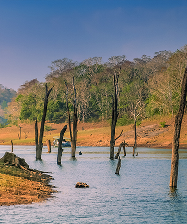 Periyar-National-Park-01
