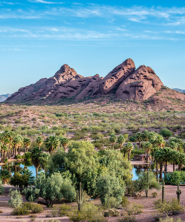 Phoenix-01