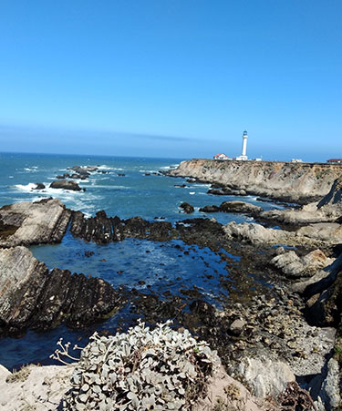 Rugged-Coastline