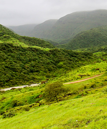 Salalah