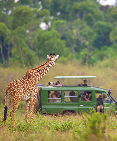 Serengeti-01