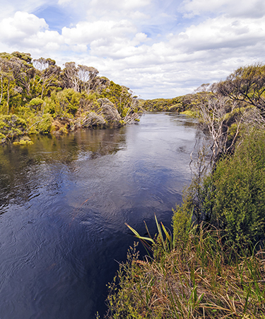 Stewart-Island