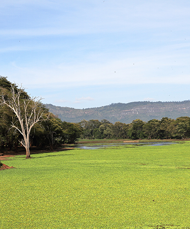 Taita-Hills