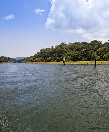 Thekkady