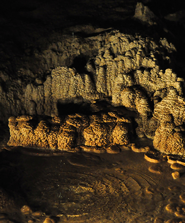 waitomo-caves-02